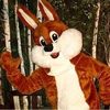 Hase 1