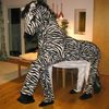 Zebra für 2