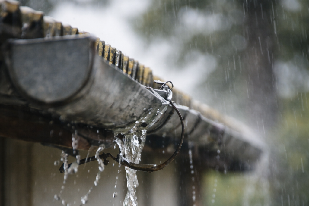 Spachtelarbeiten & -techniken 