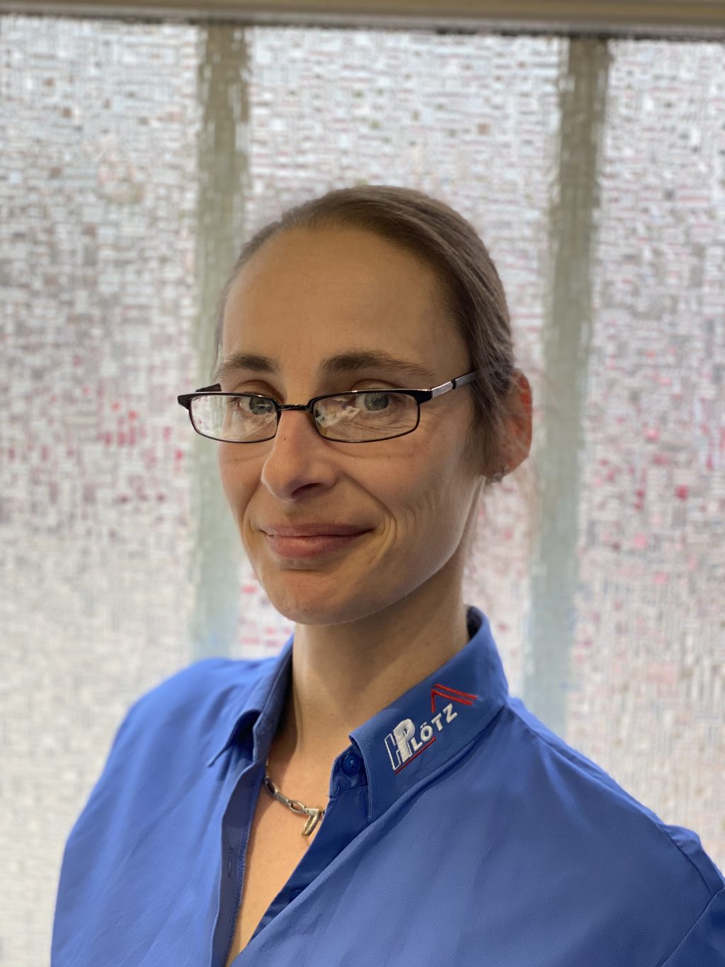 Das Unternehmen H Pl tz Dachdeckermeister GmbH das-unternehmen-h-pl-tz-dachdeckermeister-gmbh