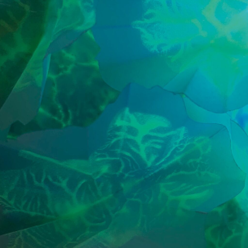 DIE AUSSTELLUNG GEHT WEITER! UND ZWAR BIS ZUM FR., DEN 10.09.21.