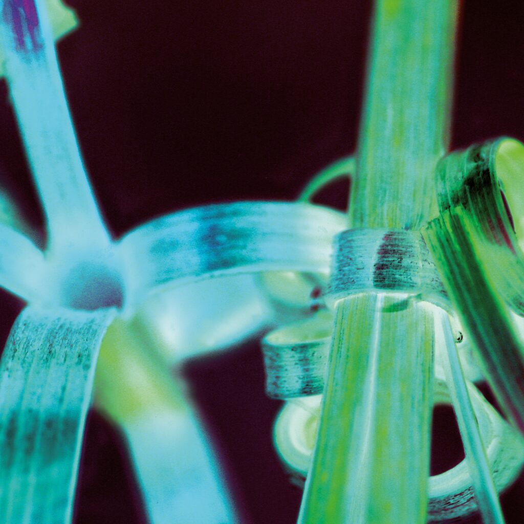 DIE AUSSTELLUNG GEHT WEITER! UND ZWAR BIS ZUM FR., DEN 10.09.21.