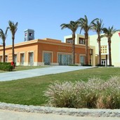 Technische Universitaet Kairo Algua
