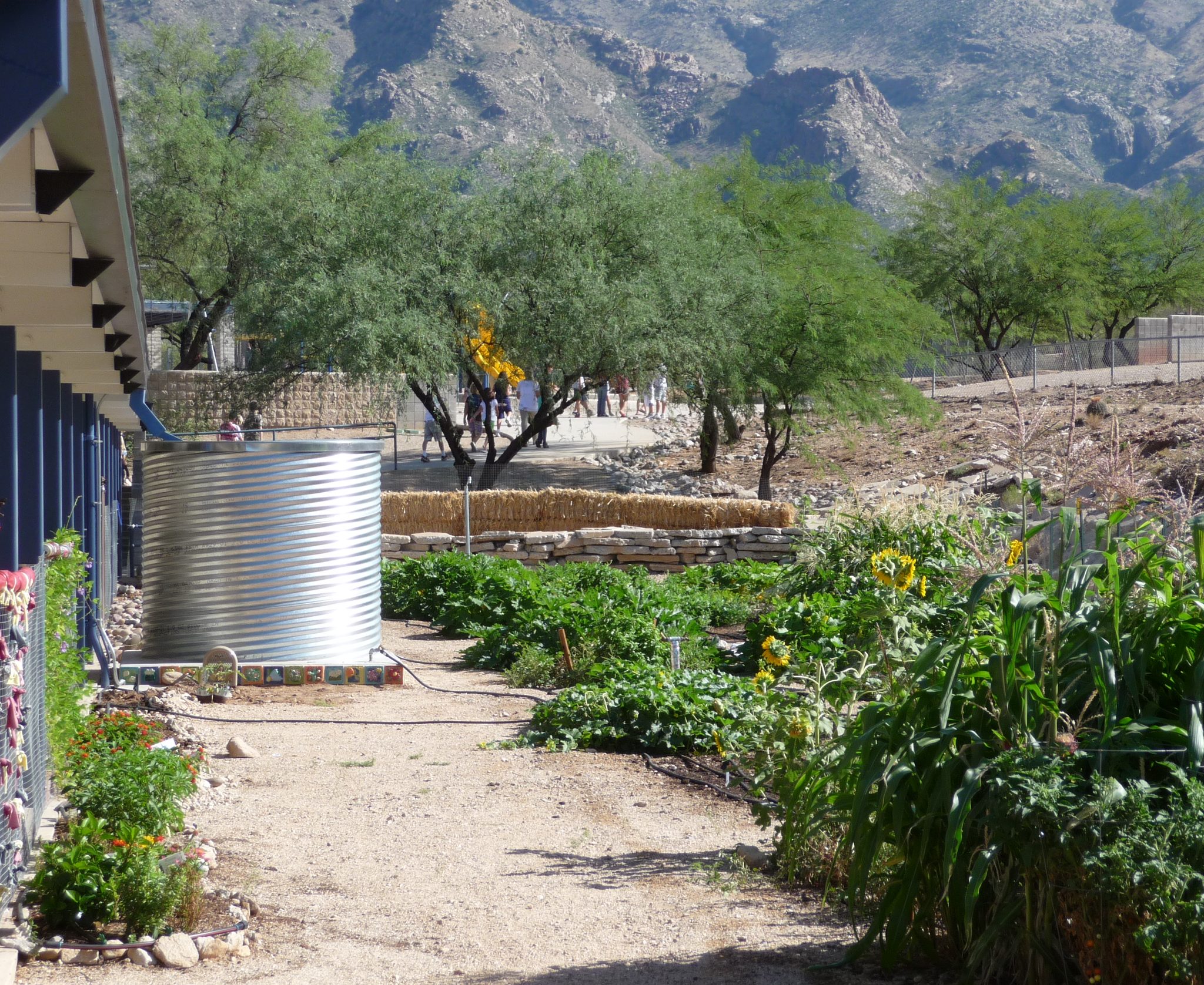 Southern Arizona Rain Gutters