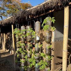 Eco Lodge - Vertical Farming