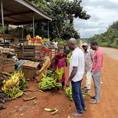 Obst und Gemüse am Straßenrand 