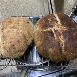 aus der Küche - leckeres Brot