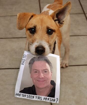 Fotomontage - Hund bringt ein Foto des Autors