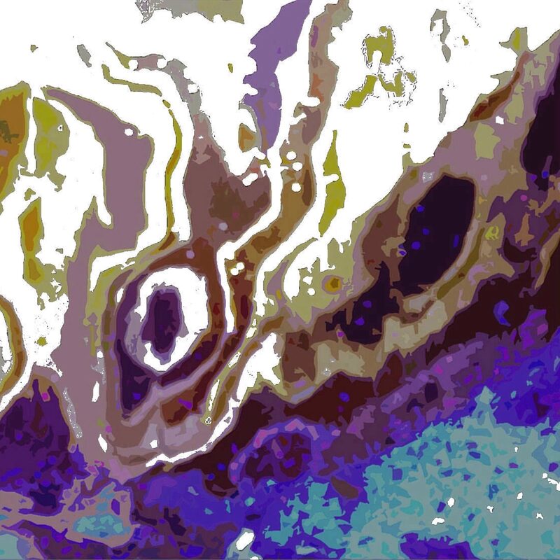 BUHNENSTAMM 5, 2018, Foto-Druck auf Alu-Dibond, 40x40cm