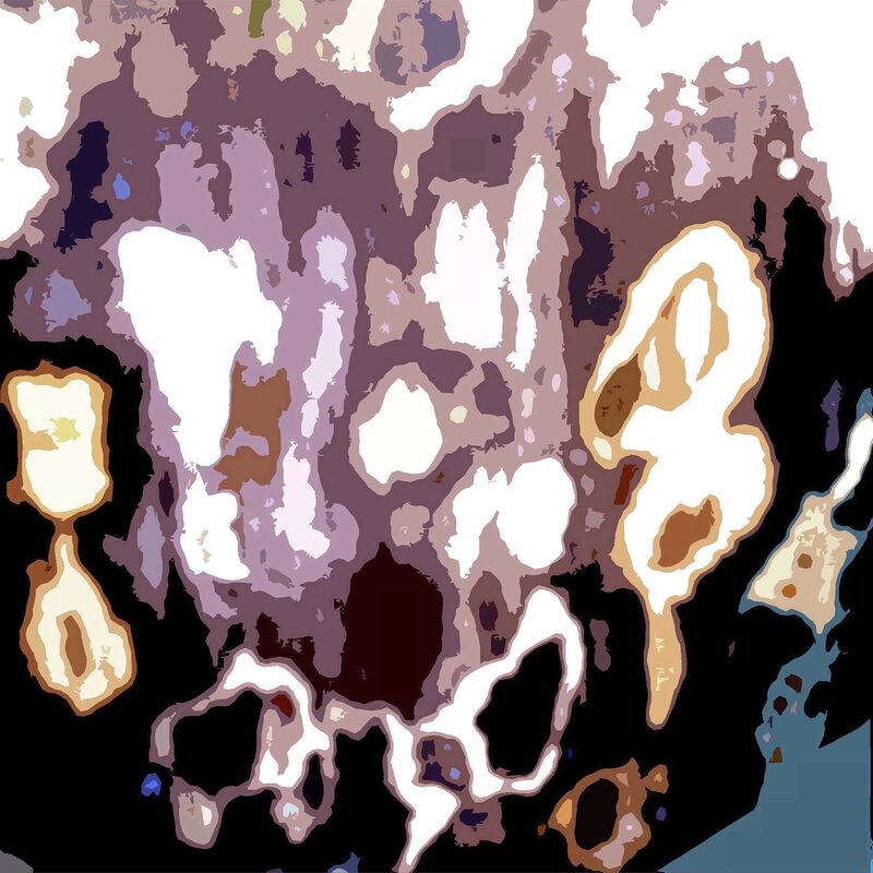 BUHNENSTAMM 2, 2018, Foto-Druck auf Alu-Dibond, 40x40cm