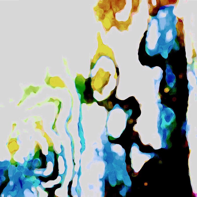 BUHNENSTAMM 3, 2018, Foto-Druck auf Alu-Dibond, 40x40cm