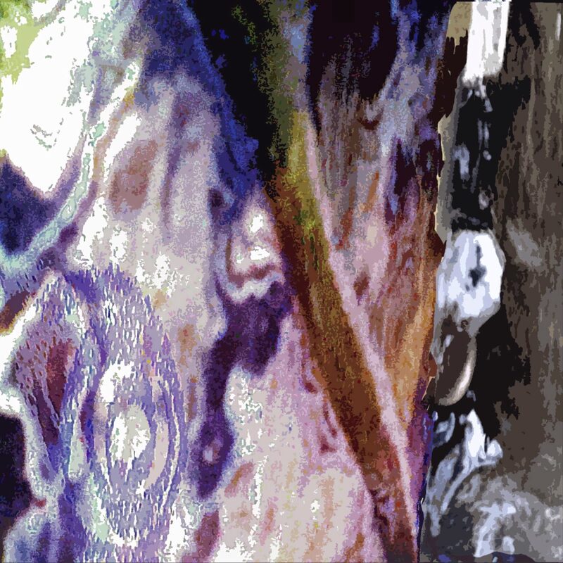 BUHNENSTAMM 4, 2018, Foto-Druck auf Alu-Dibond, 40x40cm