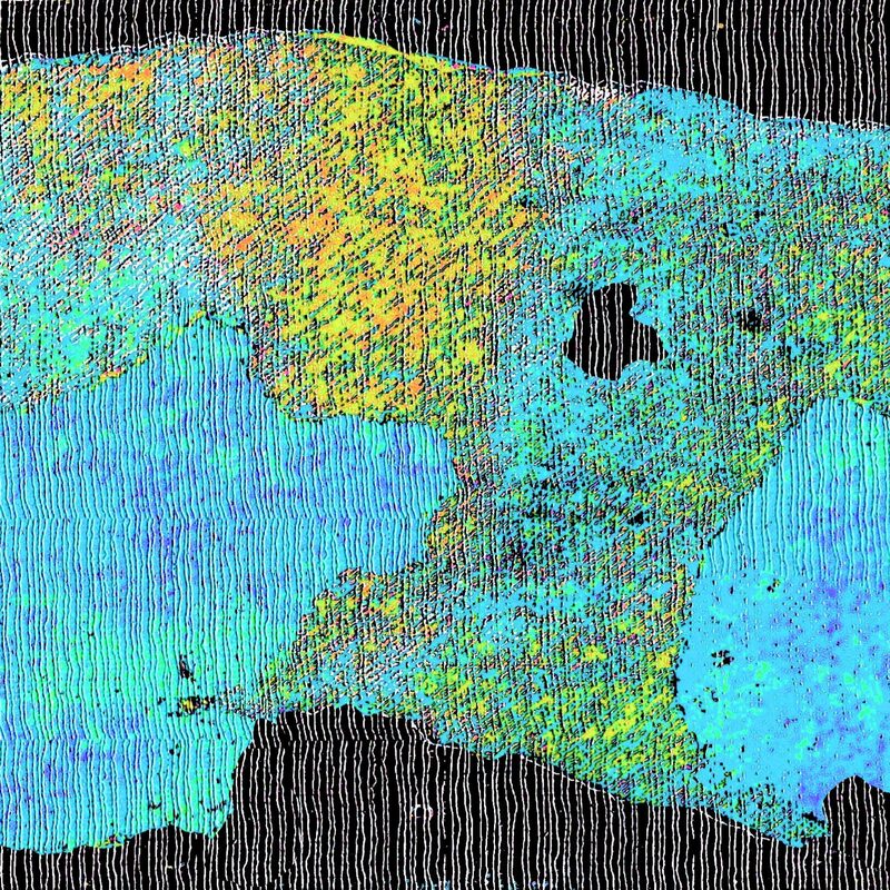 VERNETZT 6, 2021, Foto-Druck auf Alu-Dibond, 50x55cm