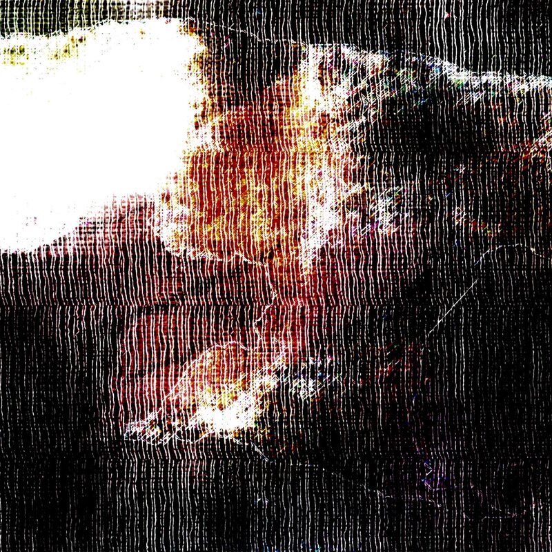 VERNETZT 7, 2021, Foto-Druck auf Alu-Dibond, 50x55cm