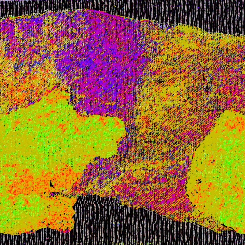 VERNETZT 8, 2021, Foto-Druck auf Alu-Dibond, 50x55cm