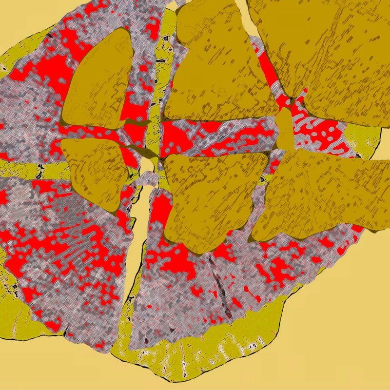 STILLLEBEN MIT BUHNEN Entwurf, 2018, Foto-Druck auf Alu-Dibond, 40x40cm