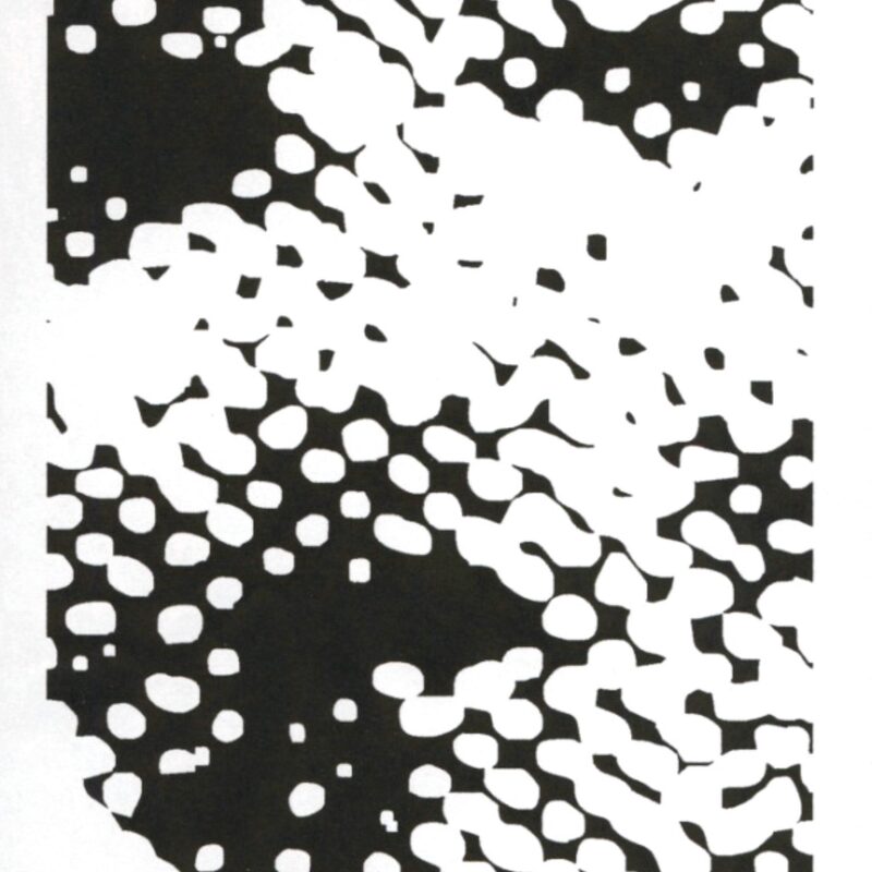 FAHNE zur Ausstellungseröffnung meiner Ausstellung in der Inselgalerie Berlin, ehem. Mohrenstraße, 2009,  Größe unbekannt