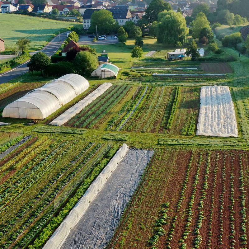 Gemüsebeete von oben