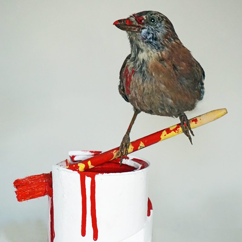 Vogel+Farbe 2016, präparierter Vogel, Farbbüchse, Pinsel, Farbe, 