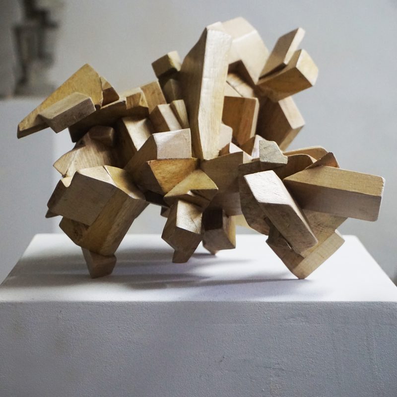 Exploratives Gebilde 2017, Buche- u. Eichekombination