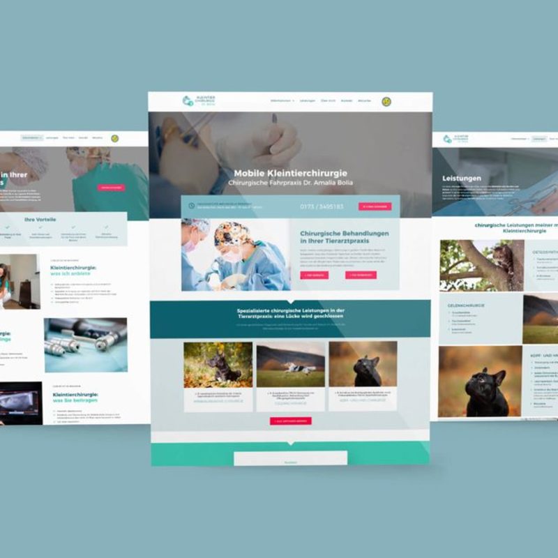 Dr. Amalia Bolia: webdesign 