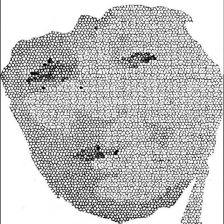 GESICHTER 1, 2007/08, Computergrafik, Inkjet-Druck auf Papier / Leinen-Print