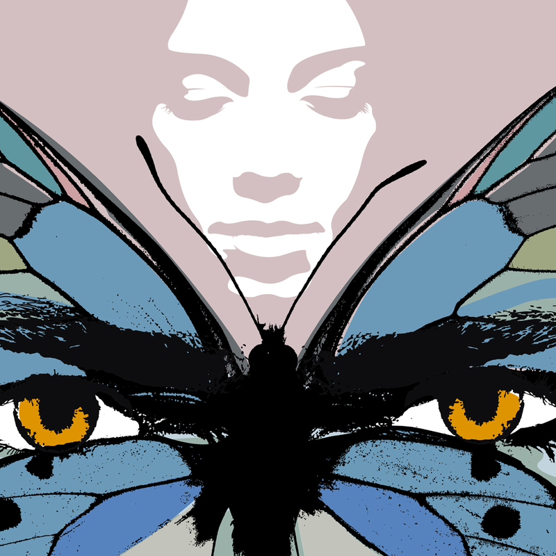 Bildmotiv: 'Der Novemberschmetterling‘