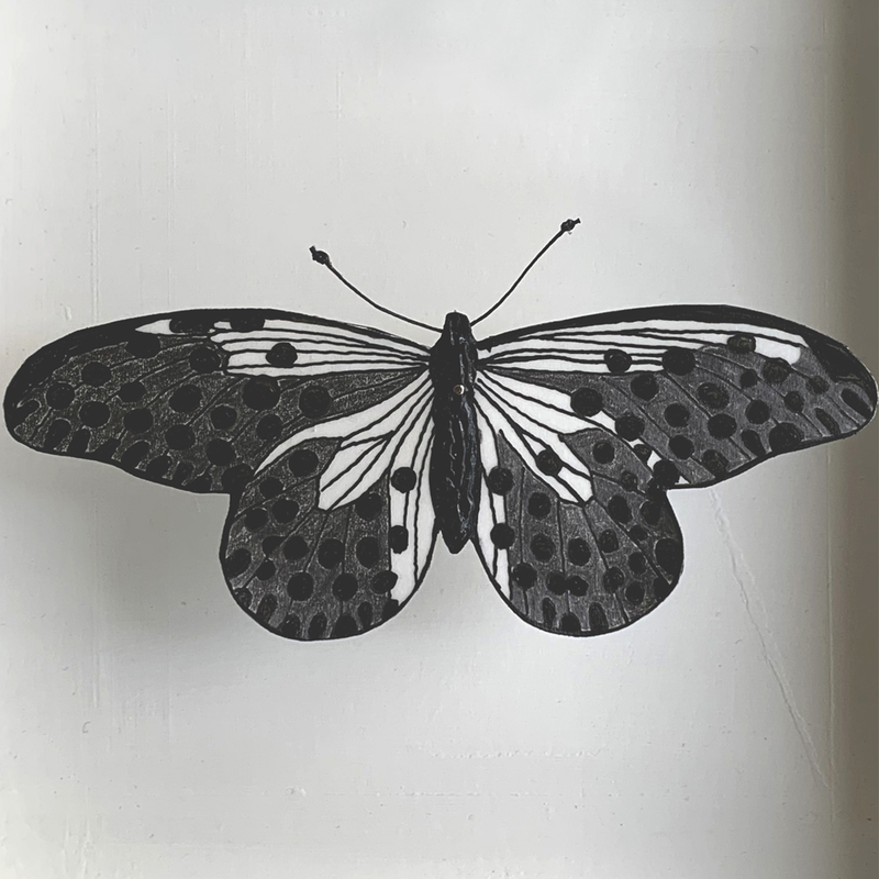 Schmetterling aus Transparentpapier