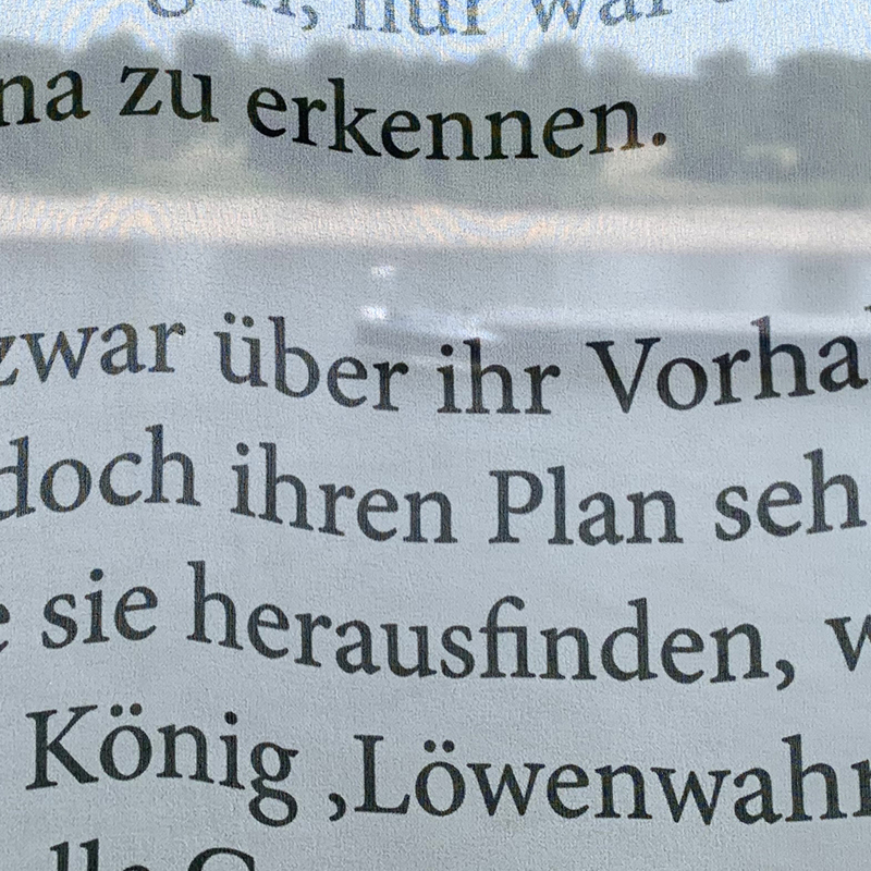 Detail und Typografie der Seidenfahne