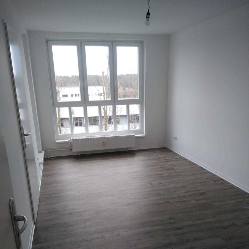 Sanierung und Laminat