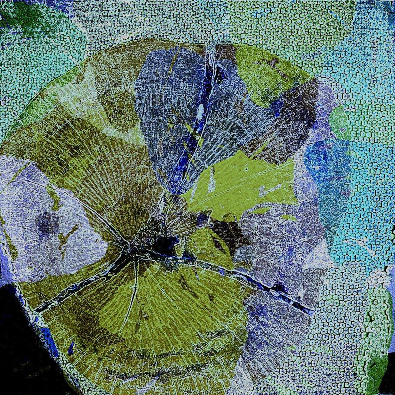 BUHNEN 1, 2017, Foto-Druck auf Alu-Dibond, 40x40cm