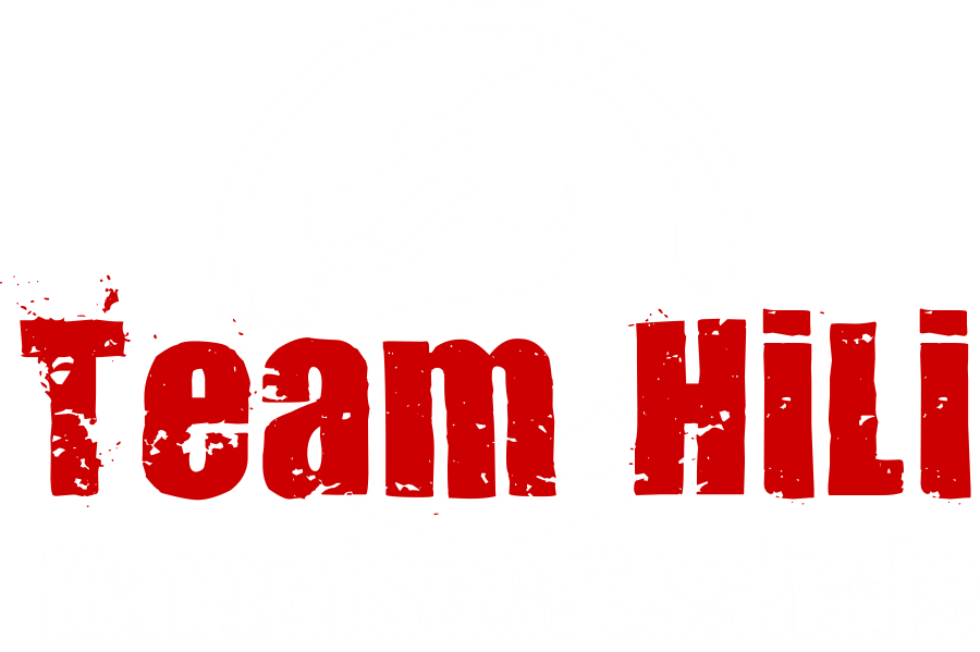 Logo Kampfsportschule Team Hili